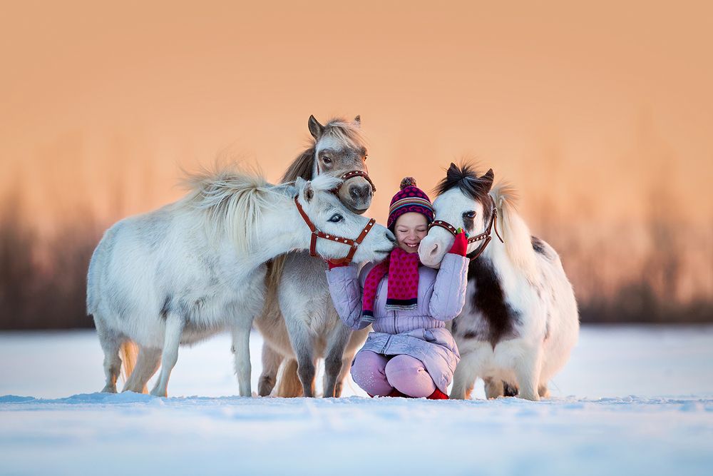 Зимняя дружба