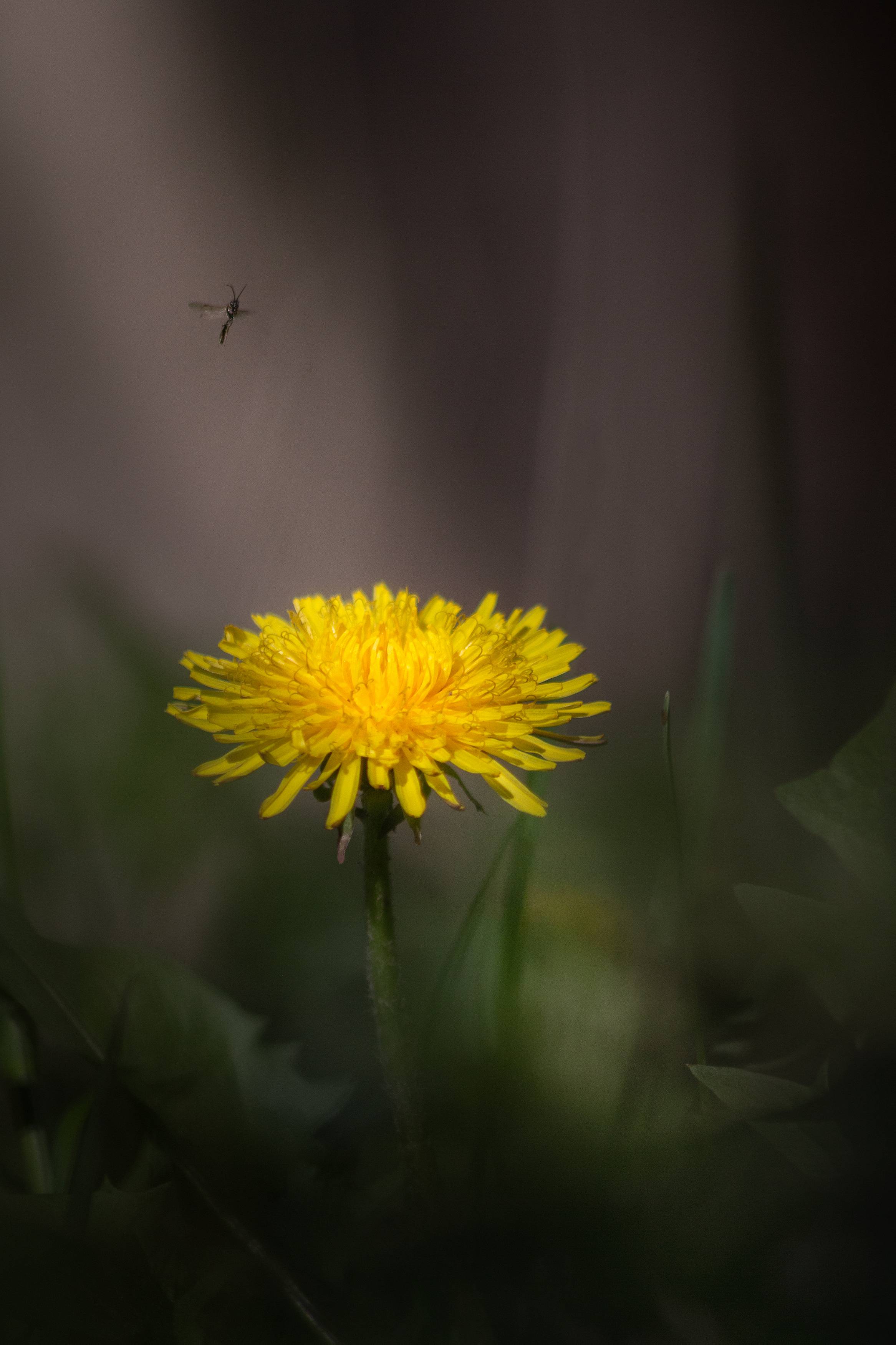 В ожидании гостя