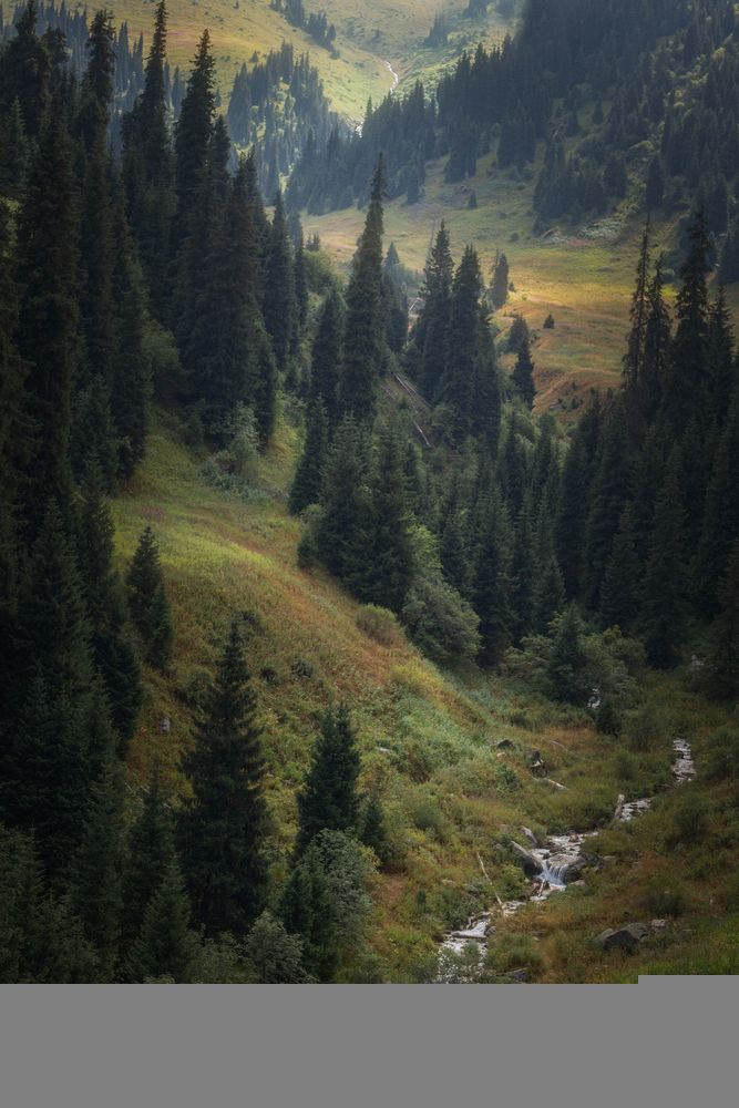 Всё выше и выше...