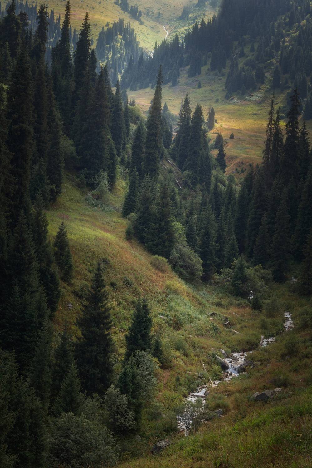 Всё выше и выше...