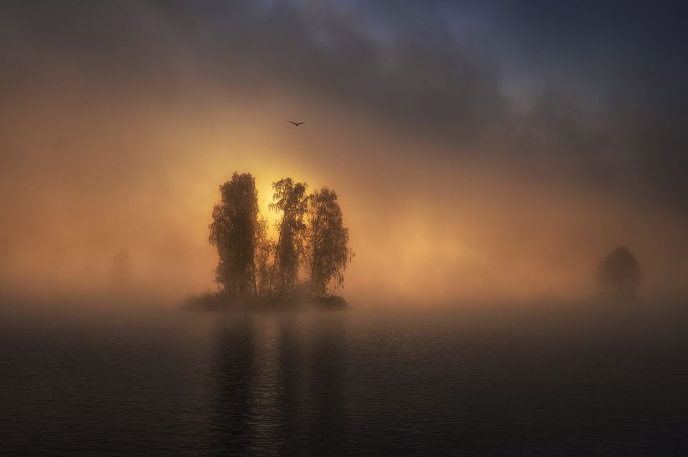 Photograph by Татьяна Бирюкова