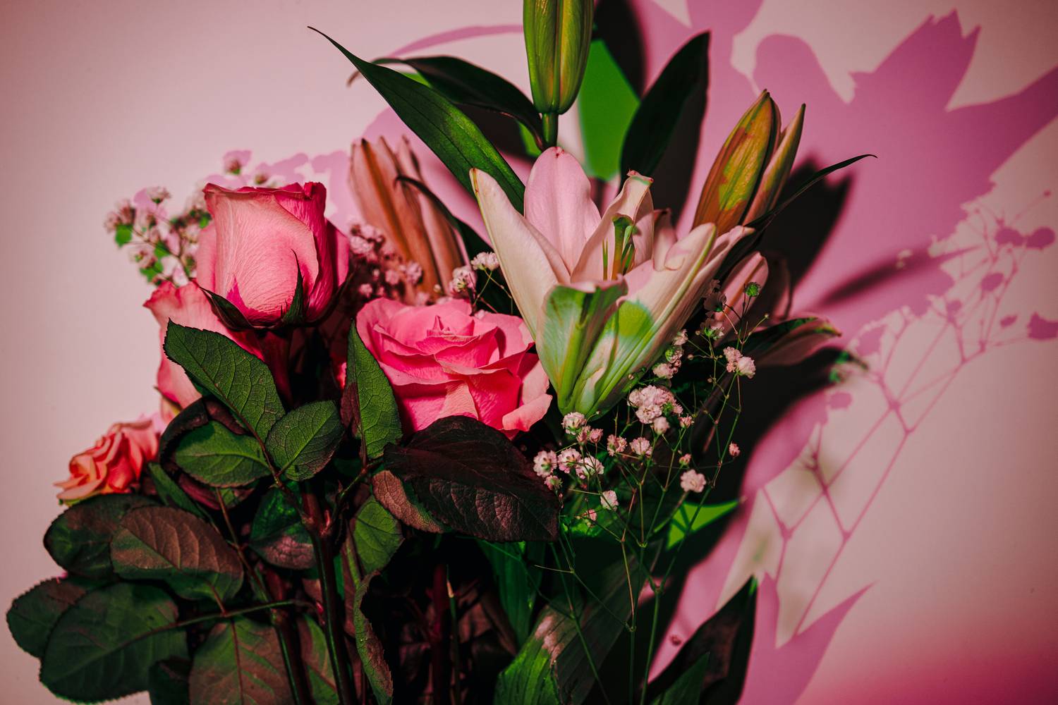 Игра с тенями и цветами