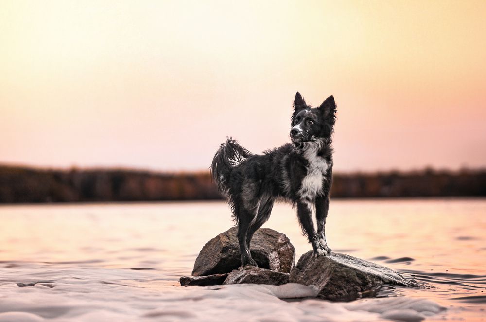 Photograph by Kira Demina