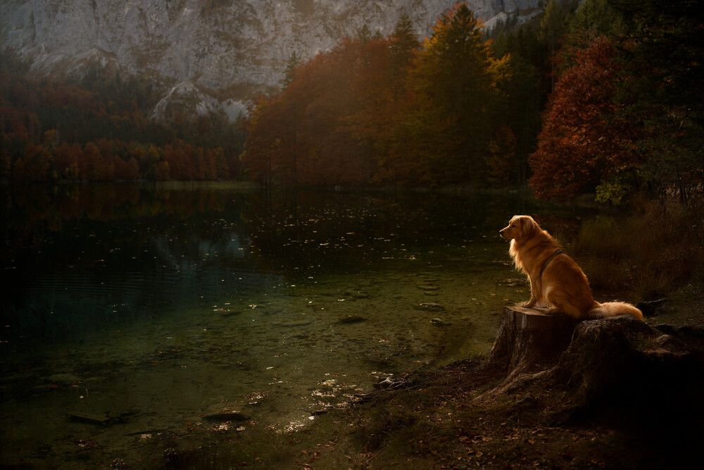 Photograph by Maja Esch