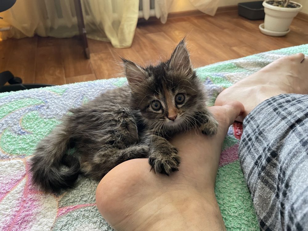 Photograph by Марина Белянских