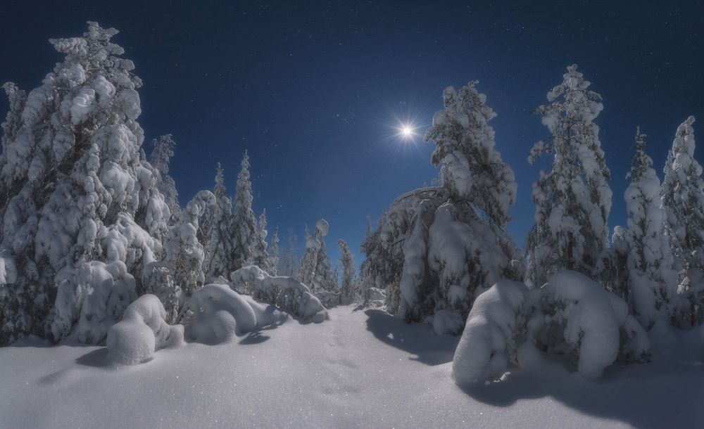Photograph by Михаил Устюжанин