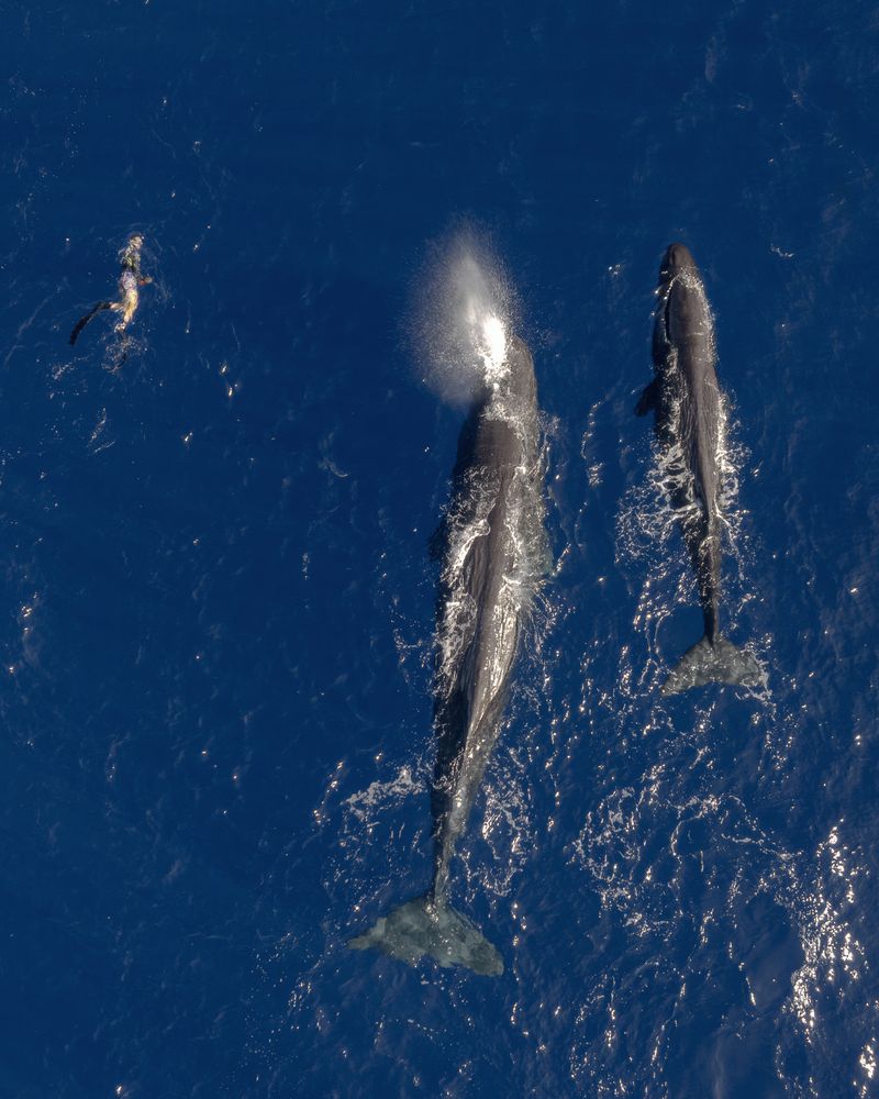 Photograph by Игорь Юркин