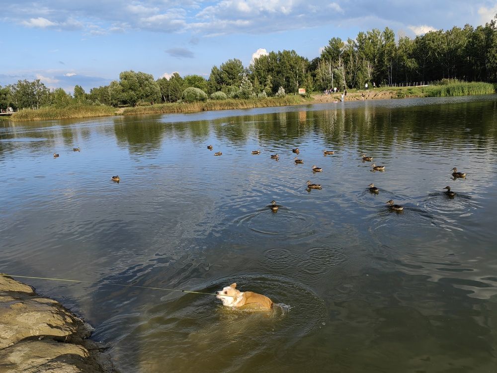 Photograph by Алёна С-К