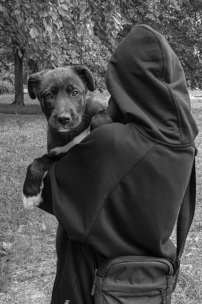 Photograph by Игорь Хрусталёв