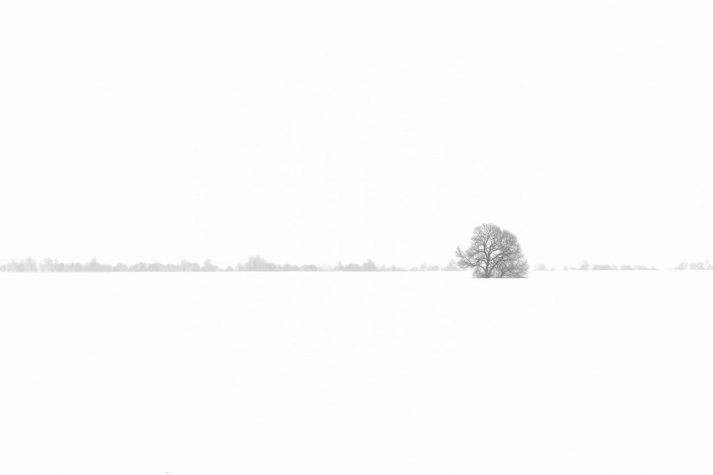 Photograph by Роман Пацкевич