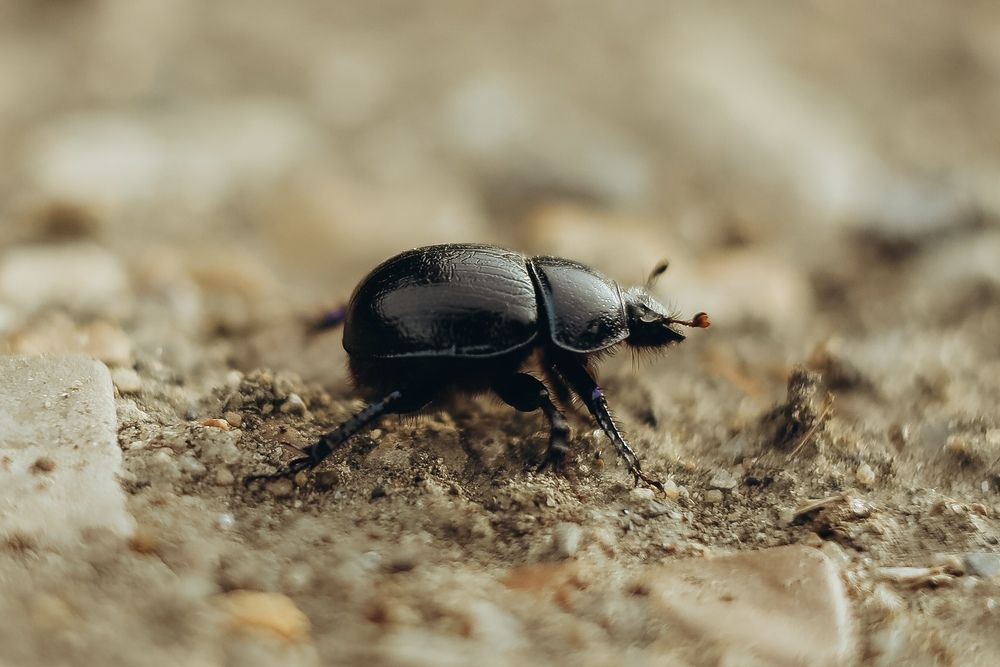 Photograph by Настасья Невзорова