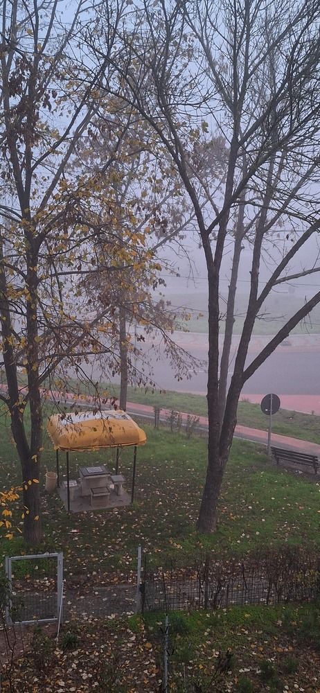...goodbye autumn....