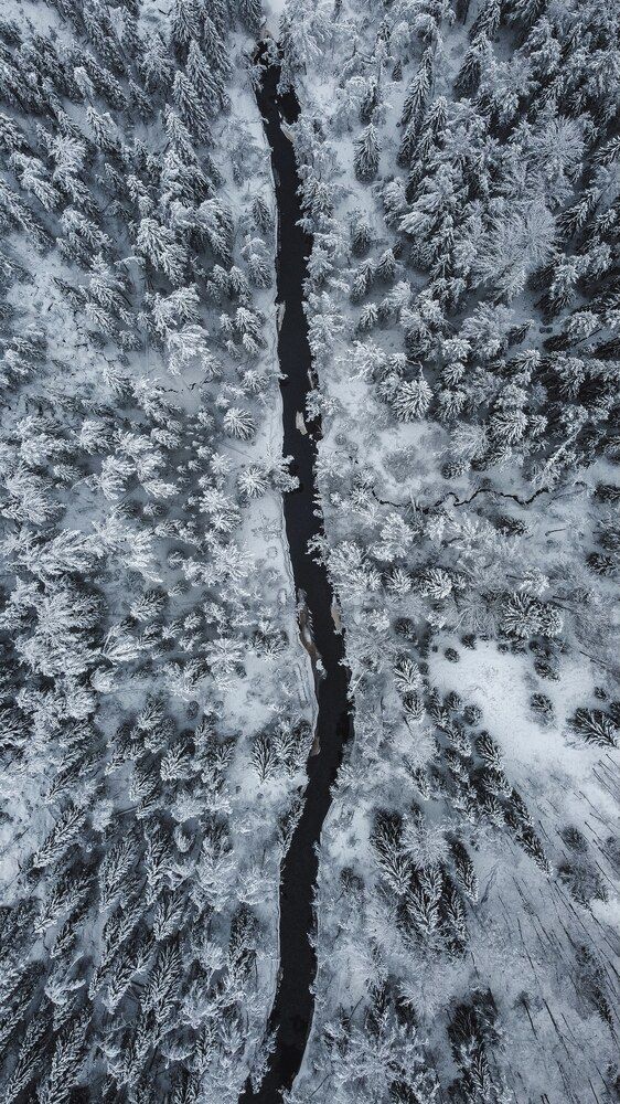 Photograph by Пётр Данилов