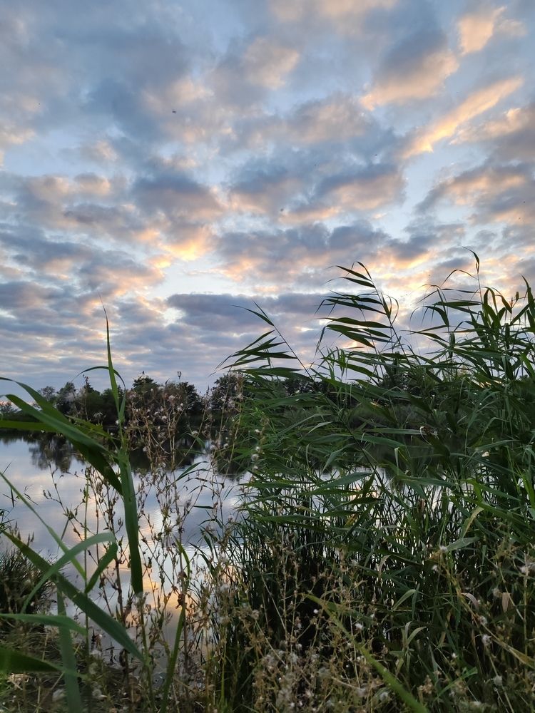 Фотография автора Анопченко Ирина