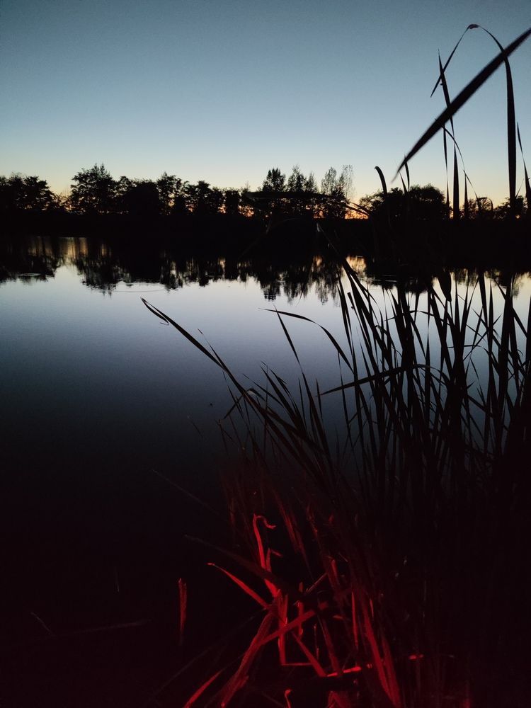 Фотография автора Анопченко Ирина