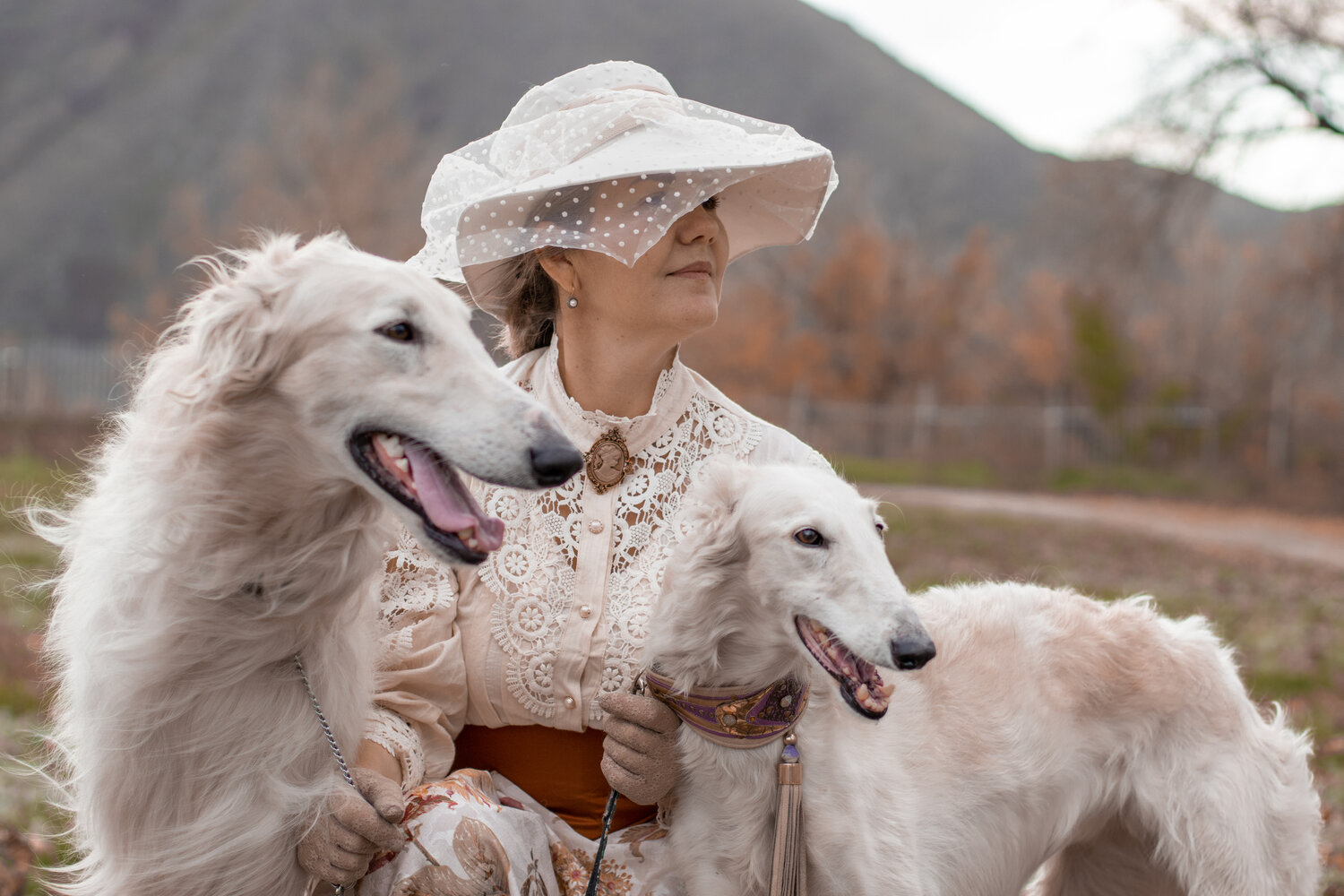 Photo #13316300