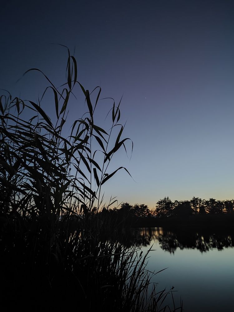 Фотография автора Анопченко Ирина