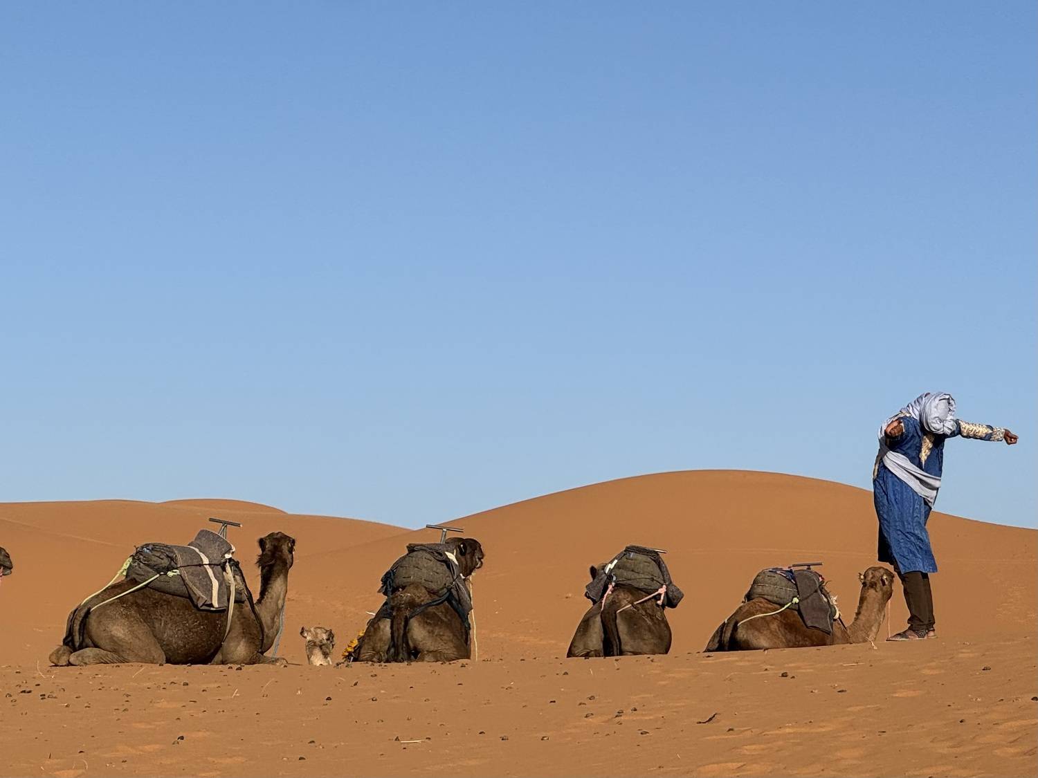 Фотография #13316478