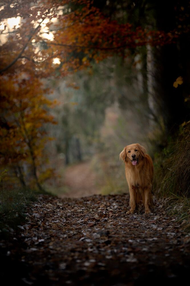 Photograph by Maja Esch