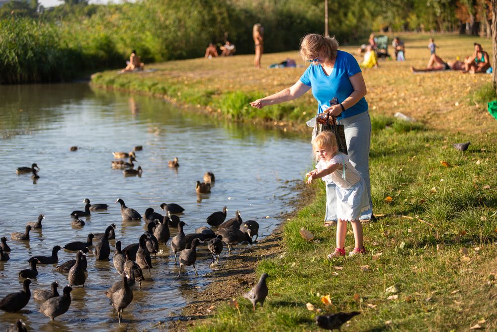 Photograph by Александр Глебов