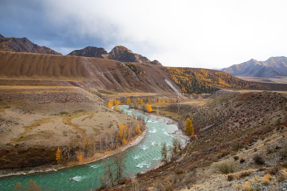 Фотография автора Шилов Александр
