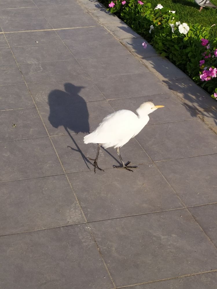 Photograph by Татьяна Клемба