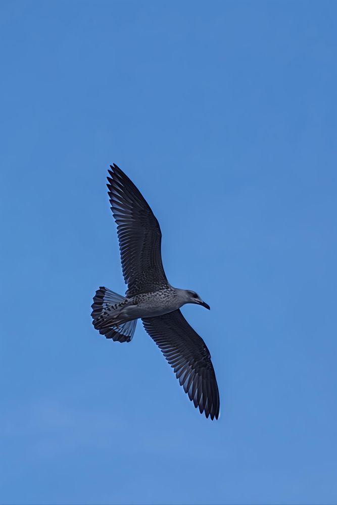 Photograph by Наталия