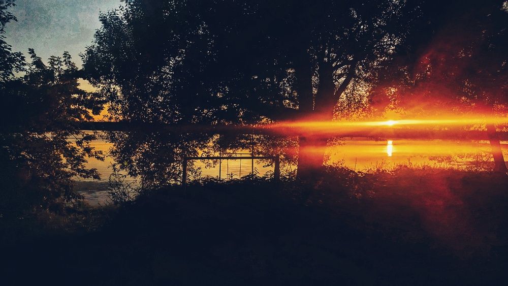Photograph by Ирина Багдасарова