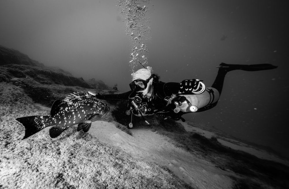 Photograph by Дмитрий Плотников