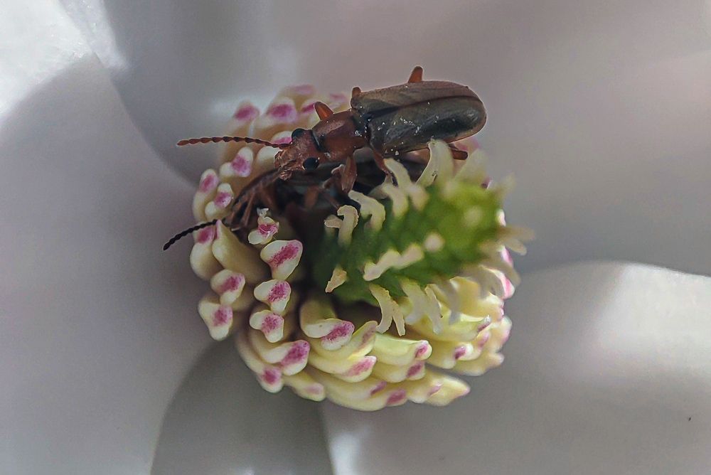 Photograph by Александр Довганюк