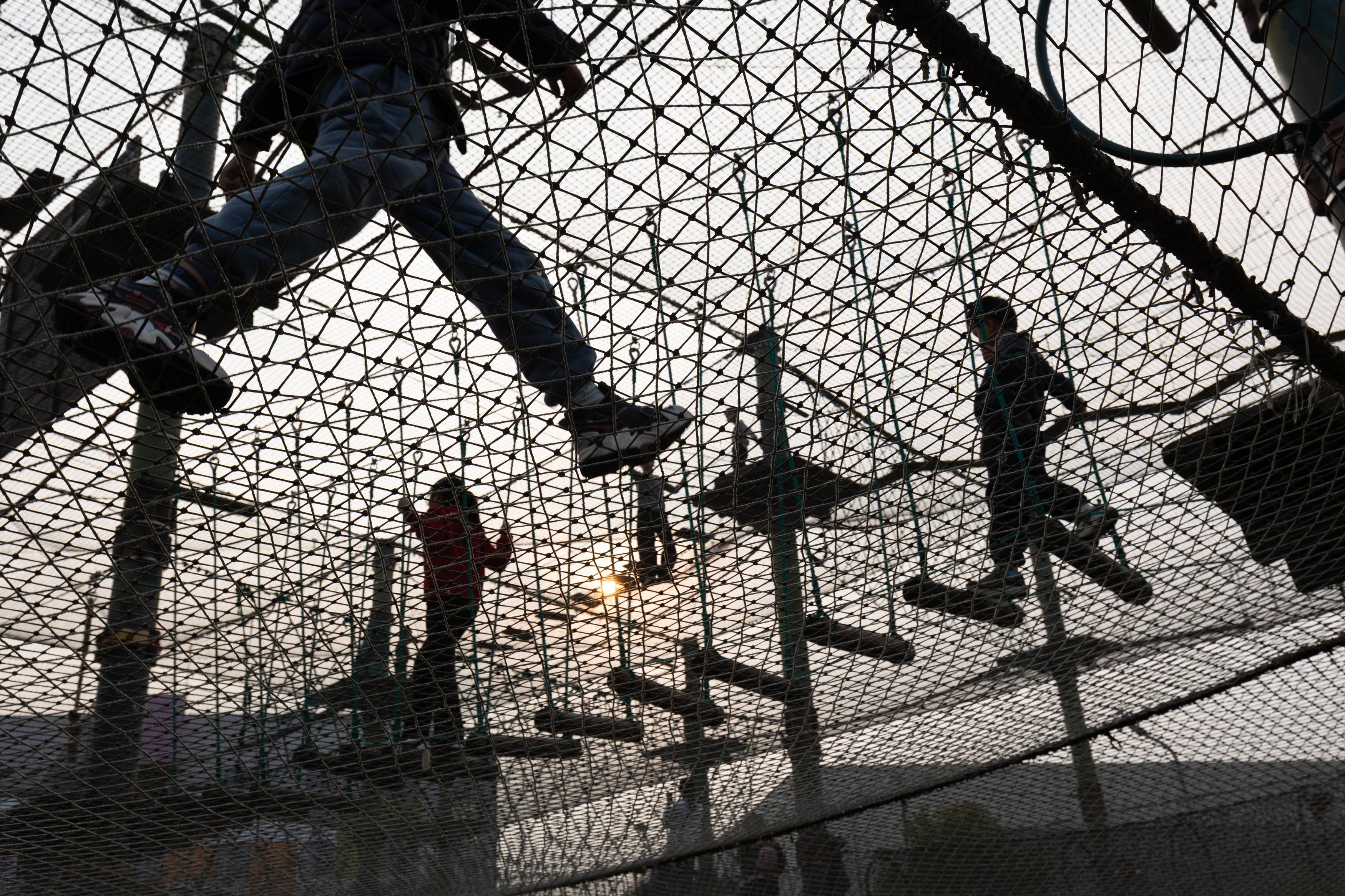 Фотография #13316739