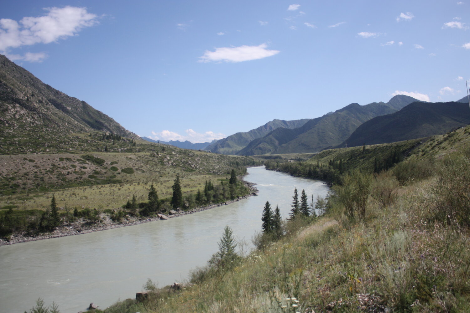 Photo #13316762