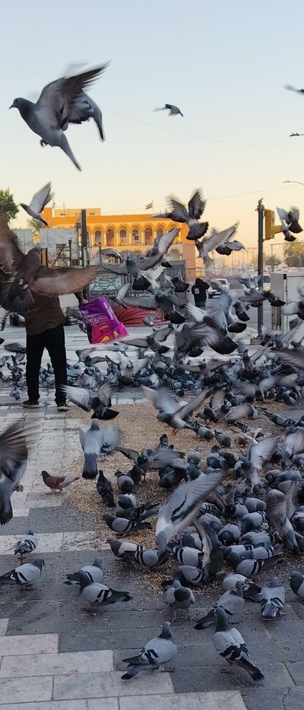 Photograph by Shaiban photography