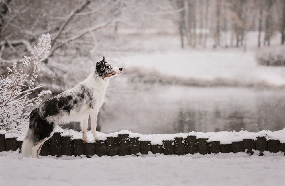 Photograph by Monika Maciejewska