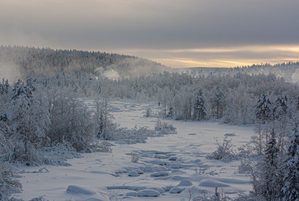 Фотография автора Сергей Виноградов