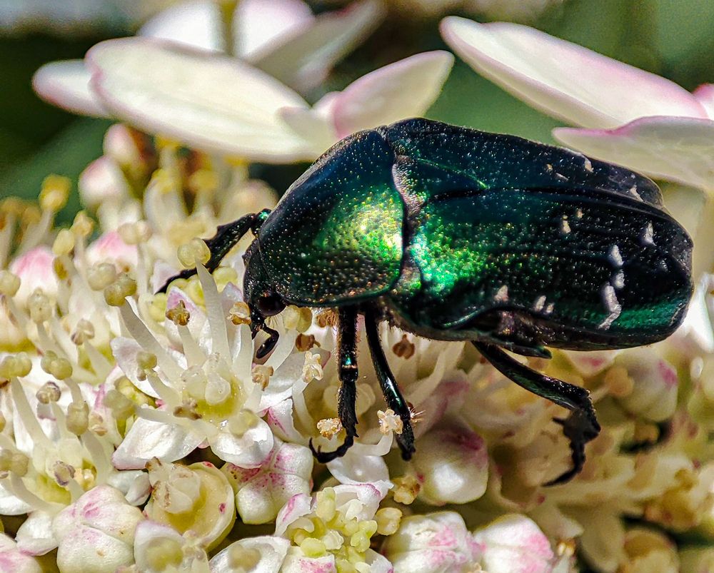 Photograph by Александр Довганюк