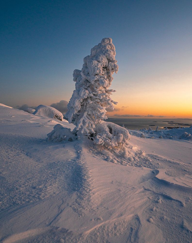 Photograph by Пётр Данилов