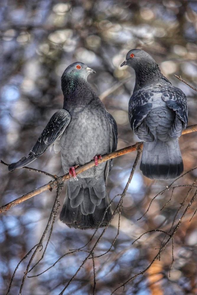 Photograph by Марина Мишутина