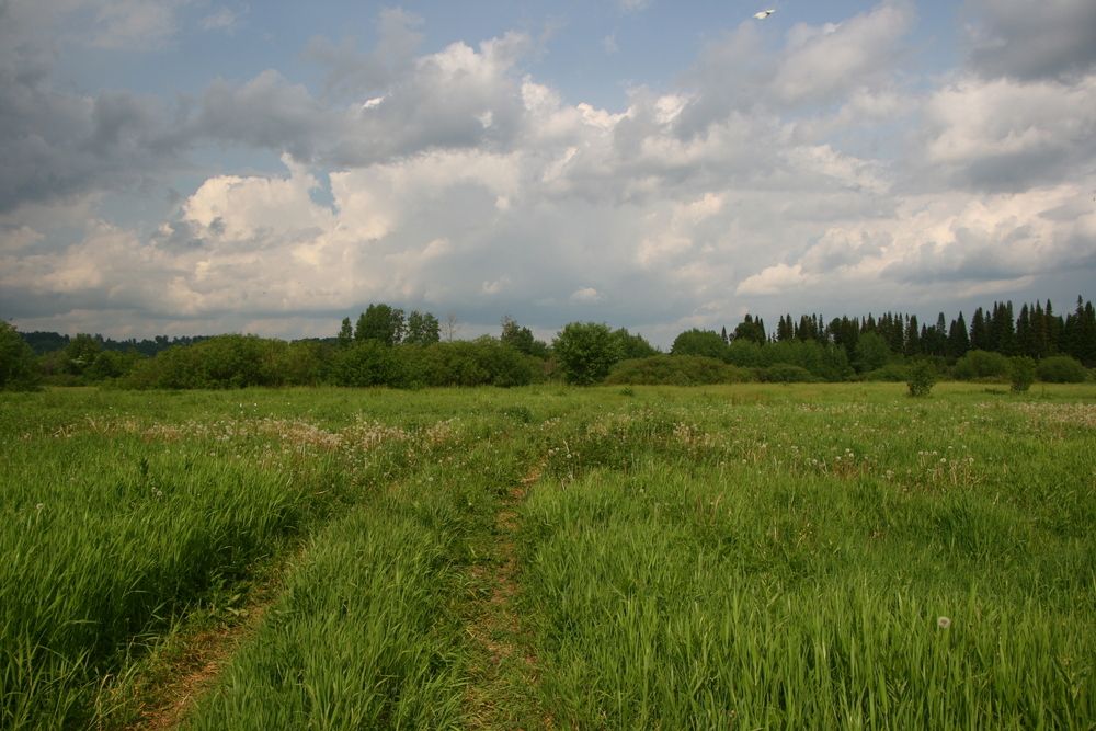 Фотография автора Ирина Вассерлауф