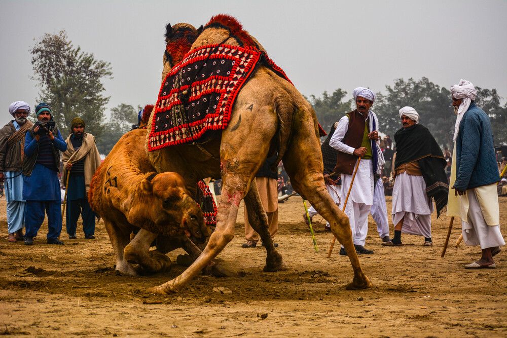 Photograph by Bilal Ahmad Khaki