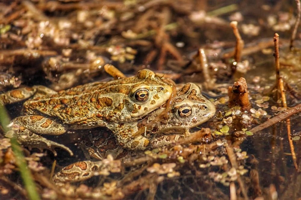 Photograph by Марина Мишутина