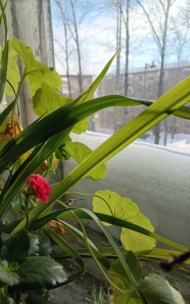 Photograph by Елена Малкова