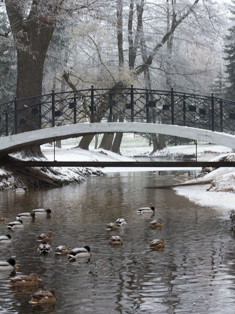 Photograph by Борис Журавлёв