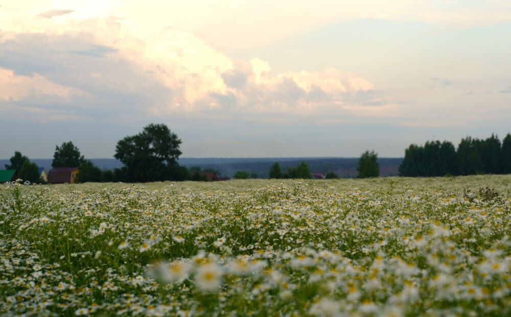 Photograph by Райма Гончарова