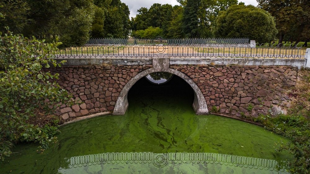 Photograph by Александр Довганюк