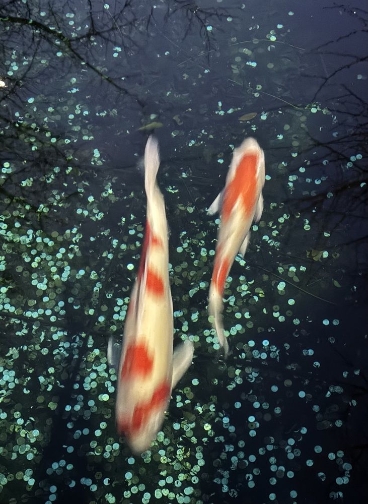 Time does not fly, it flows