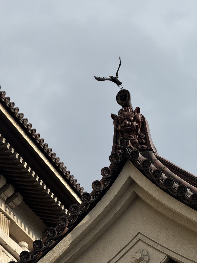 Photograph by Iuliia Zharikova (Iuka)