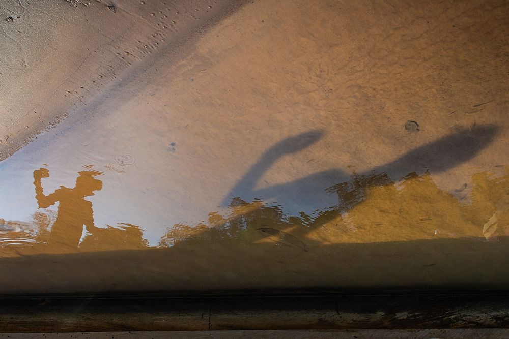 Photograph by Miguel Torrico