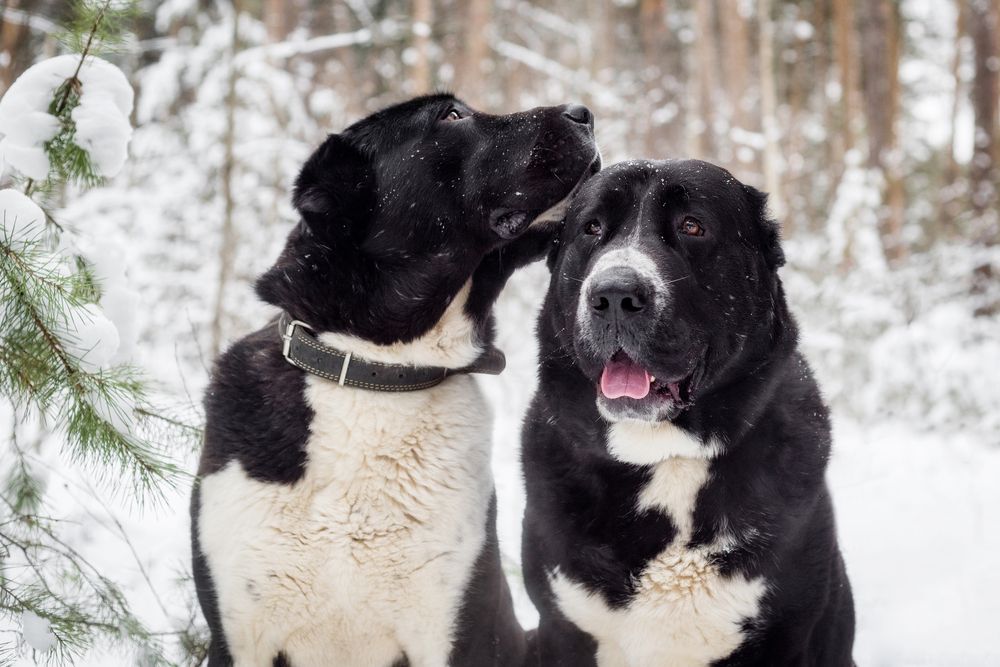 Photograph by Елена Соколова