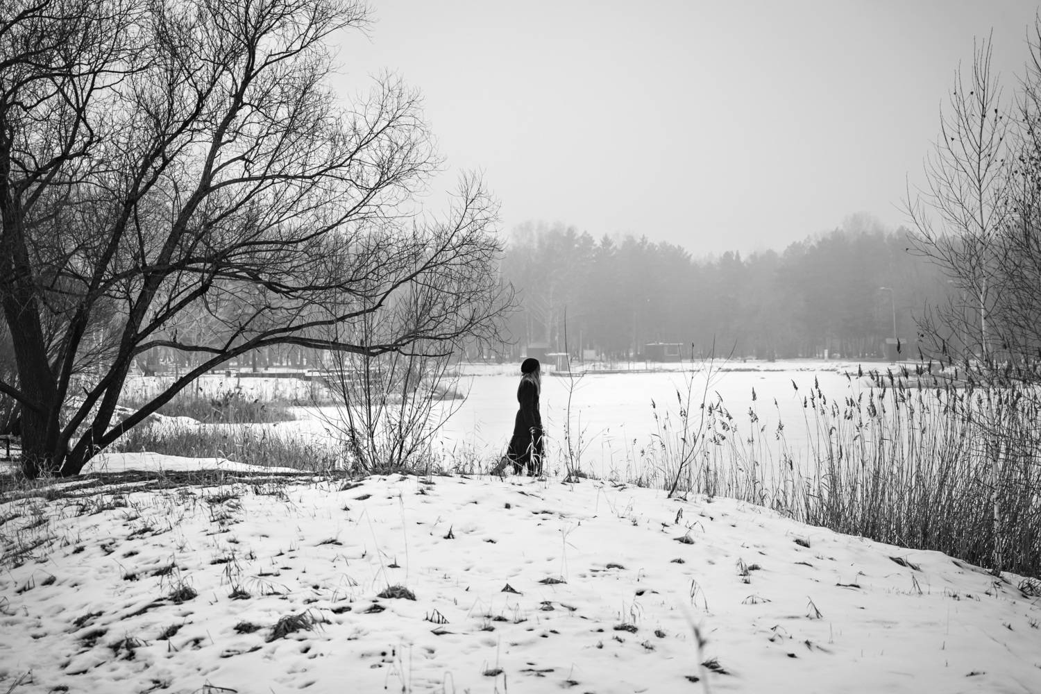Photo #13317154